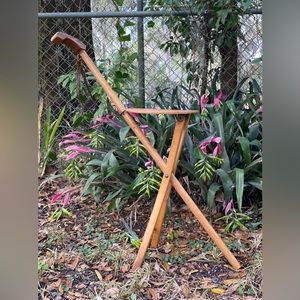Kan O Seat Cane Stick Waking Chair Johnson Industries Belding, MICH Wood  Farm W